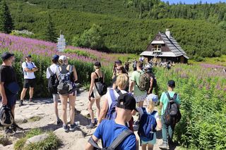 Tłumy turystów na Tatry. Popularne szlaki przeżywają prawdziwe oblężenie