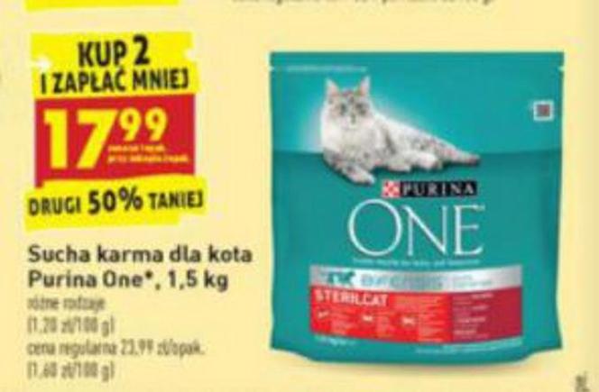 Szalone promocje na Dzień Kota w Biedronce