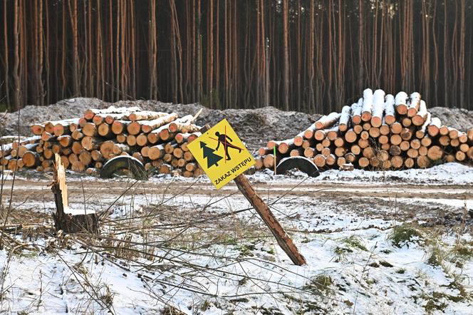 Poszerzenie wylotówki będzie droższe? Wykonawca zapowiedział też duże opóźnienie