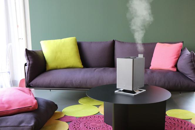 Nawilżacz powietrza: idealna wilgotność w mieszkaniu. Jaki sprzęt wybrać?
