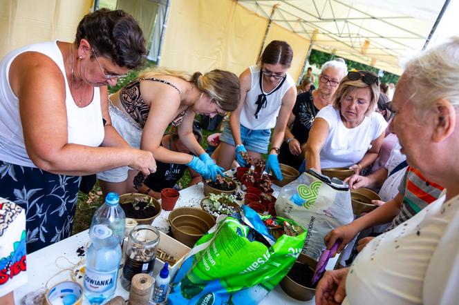 Wielki piknik kwietny – finał 40. edycji konkursu „Warszawa w kwiatach”