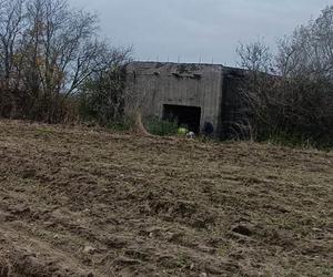  Związał psa i pozostawił w ciemnym bunkrze na pewną śmierć. Wstrząsające odkrycie na Mazowszu