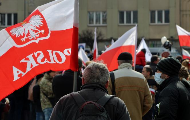 Marsz o wolność w Katowicach. Tak wyglądał liczny protest antycovidowców 