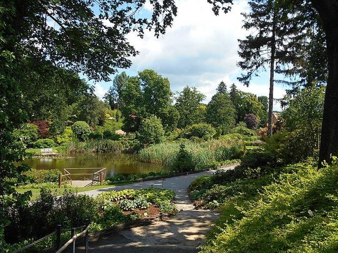 Arboretum Wojsławice - zdjęcia. Kiedy jechać?