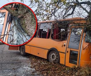 Autobus szkolny zjechał z drogi i uderzył w drzewo. Są poszkodowani