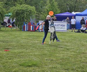 Festiwal Przyjaciół Zwierząt w Olsztynie. Park Centralny opanowały radosne pieski