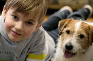 M jak miłość odc. 1594. Misiek (Aleksander Bożyk), pies Saper