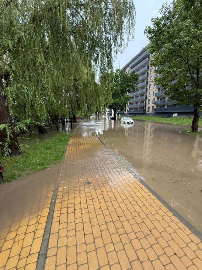 W Elblągu wylała rzeka. Wprowadzono stan pogotowia przeciwpowodziowego. „Każdy z nas się boi”