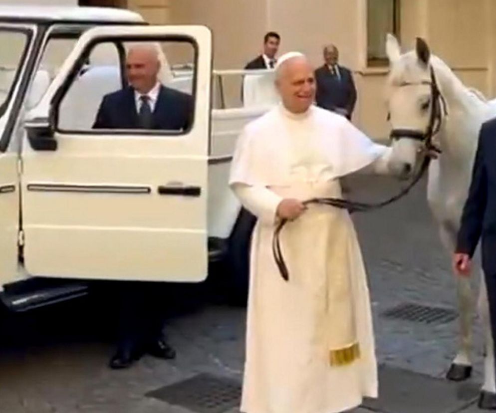 Papież Leon XIV otrzymał w środę białego konia czystej krwi arabskiej ze stadniny w Kołobrzegu-Budzistowie