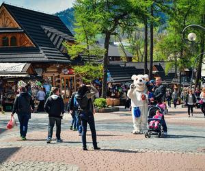 Arabowie pokochali Zakopane. Kelnerka zauważyła ciekawą rzecz. Zaskakujące!