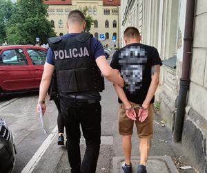 Gigantyczna plantacja marihuany w Bydgoszczy. Policjanci przecierali oczy ze zdumienia 