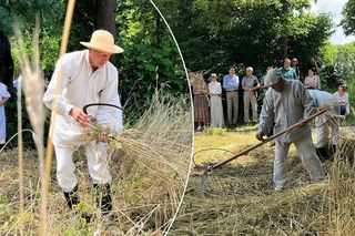 Chleb kosztował wtedy wiele trudu i smakował o niebo lepiej. Żniwiarze wrócili do korzeni
