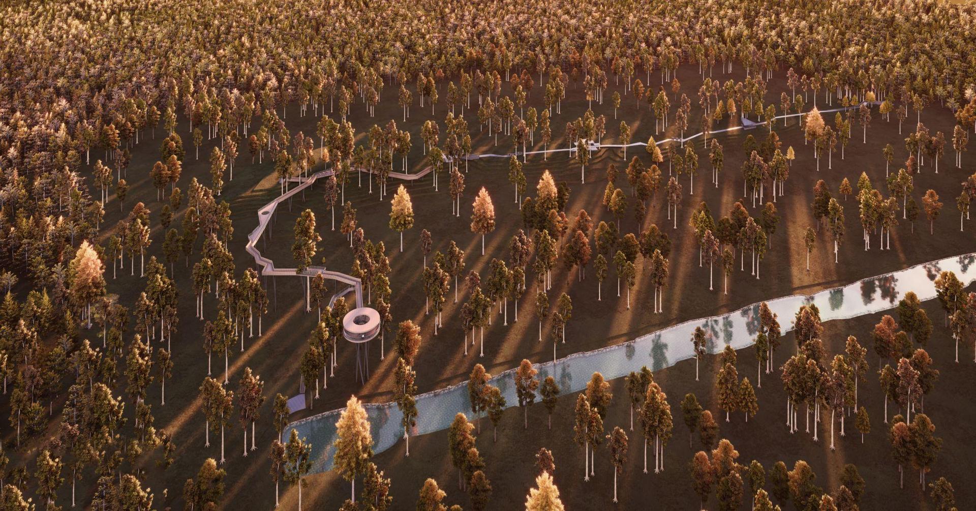 Ścieżka w koronach drzew w Zwierzyńcu według Autograf Studio