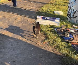 Tak wygląda typowa niedziela na Dworcu Świebodzkim we Wrocławiu