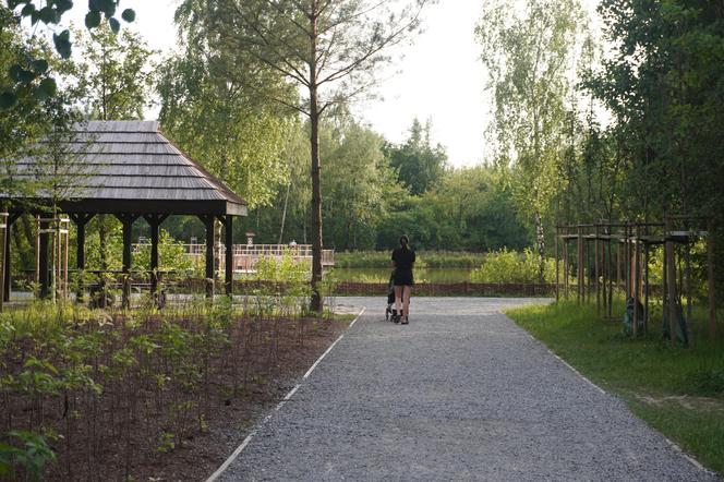 Park Leśny Tetmajera w Bronowicach