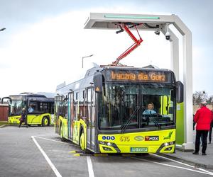 Nowe autobusy dla Gorzowa