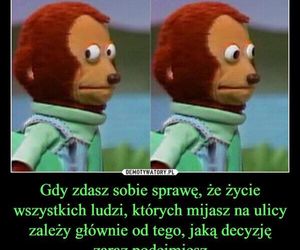 Najlepsze memy po wyborach prezydenckich 2025