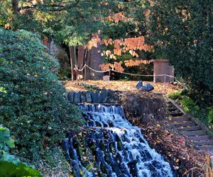 Ogród Botaniczny we Wrocławiu