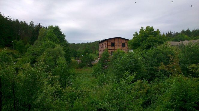 Nowy rezerwat przyrody w Kujawsko-Pomorskiem! Wąwóz Wyrwa skrywa prawdziwe skarby natury!