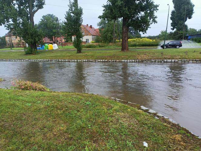 Dolnośląskie: Po sobotnich burzach zalane zostało centrum Dzierżoniowa. Od rana było kilkaset interwencji straży pożarnej. Zobacz