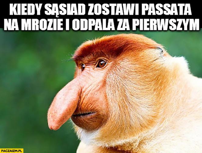 Mróz memy