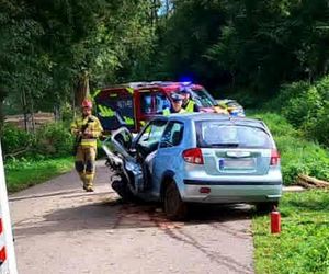 Młody kierowca wjechał w drzewo. 29-latek jechał bez pasów i prawa jazdy