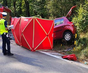 Tragiczny wypadek Otominie pod Gdańskiem! Zginęło starsze małżeństwo 