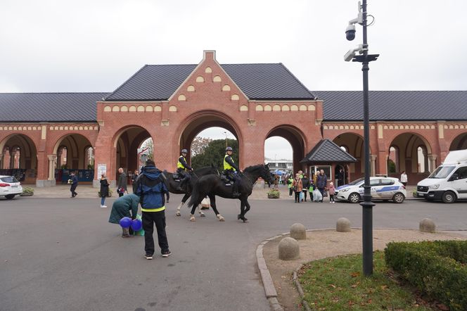 Cmentarz Centralny podczas Wszystkich Świętych