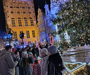 Gdańska choinka rozbłysła. Zobaczcie nasze zdjęcia!