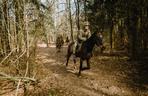 Wojska obrony terytorialnej z Lubelszczyzny ćwiczyły z końmi