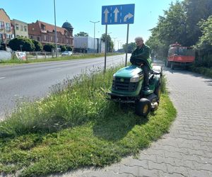 Trawniki w Lesznie wybujały. Koszą prawie codziennie [ZDJĘCIA]
