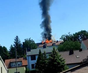 Pożar szkoły w czasie matury z języka angielskiego. Co dalej z egzaminem?