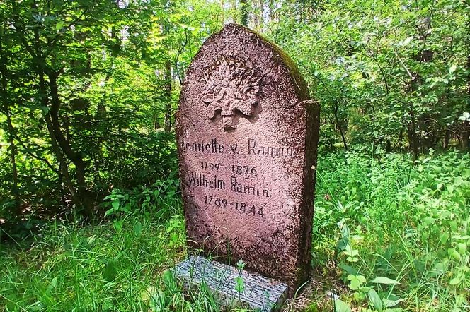 Leśny cmentarz rodu von Ramin