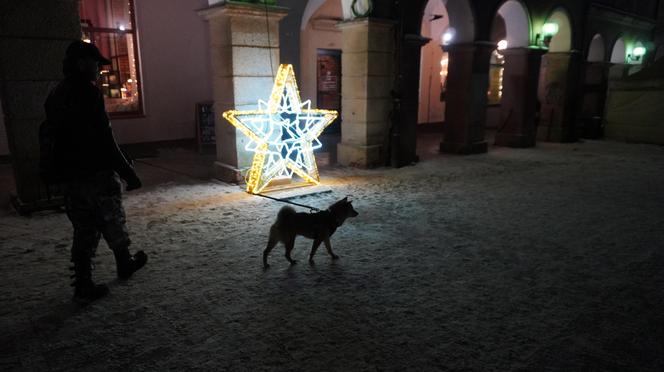 Świąteczne iluminacje w Olsztynie zachwycają. Prawdziwą „gwiazdą” jest choinka na starówce [ZDJĘCIA]