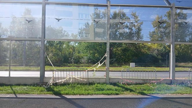 Straty liczone są w dziesiątkach tysięcy złotych