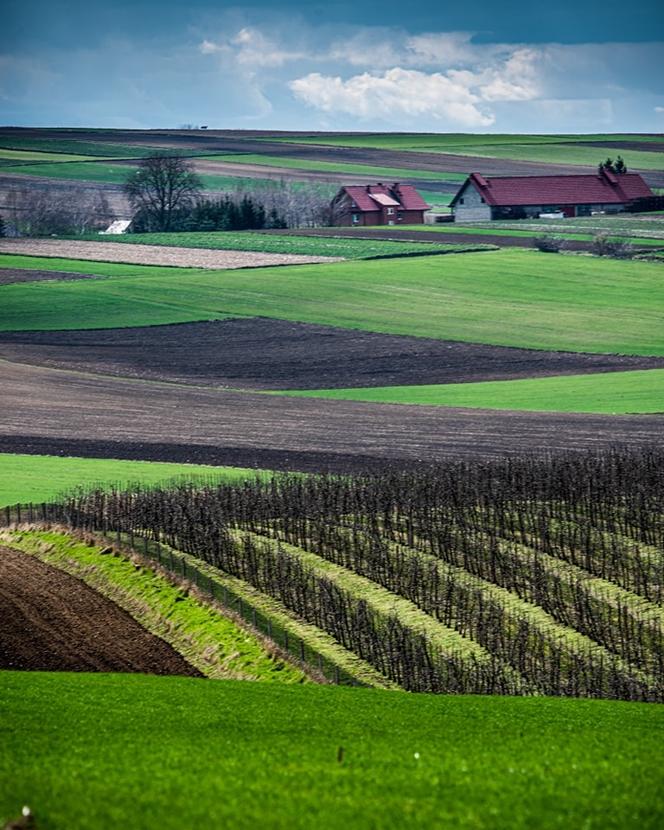 Ponidzie w obiektywie. Zobacz piękne fotografie!