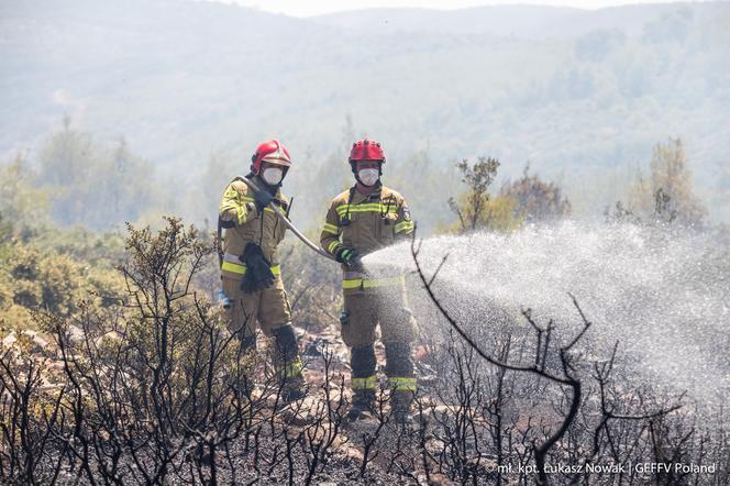 Tragiczna sytuacja pożarowa w Grecji. Na pomoc ruszyli strażacy z Krakowa