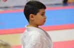 Ogólnopolski Puchar Dzieci w Karate Tradycyjnym 