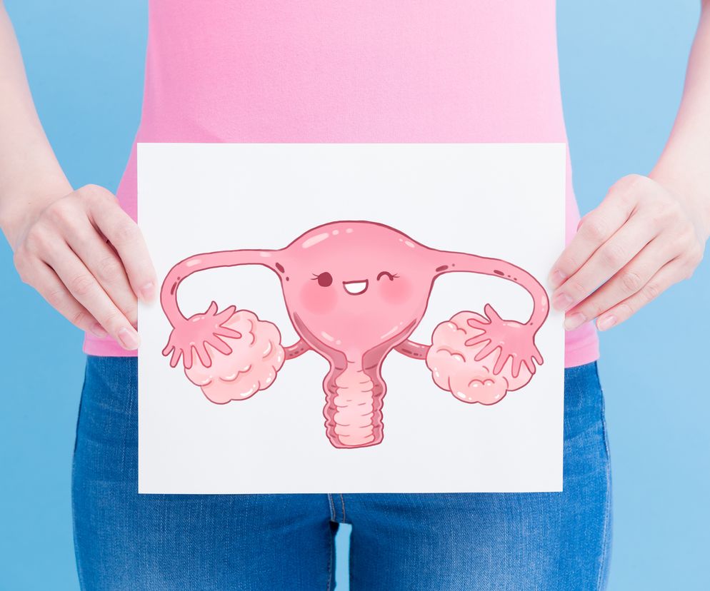 Jajniki znajdują się po obu stronach miednicy w tzw. dołkach jajnikowych.