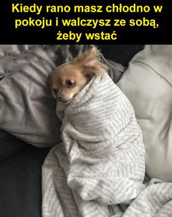 Najśmieszniejsze MEMY o zimie