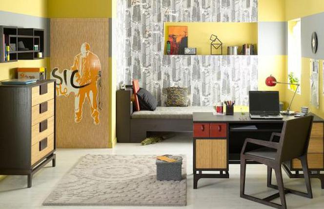 Pomysł na pokój dla nastolatka. Jak dobrać do wnętrza meble? Jak pomalować ściany?