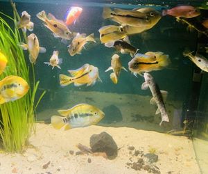 Rozmawiamy z Tomaszem Wiśniewskim, założycielem Aqua Dreams Bydgoszcz