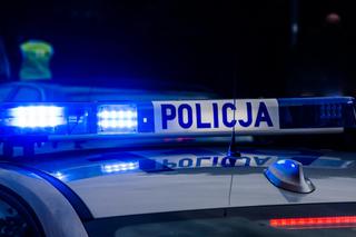Lubelskie/Zofiówka - wypadek na DK 82, 13 osób rannych
