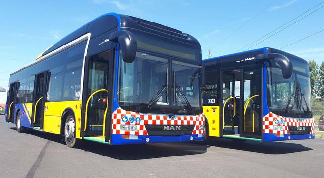 Głogów. Znów inny rozkład jazdy