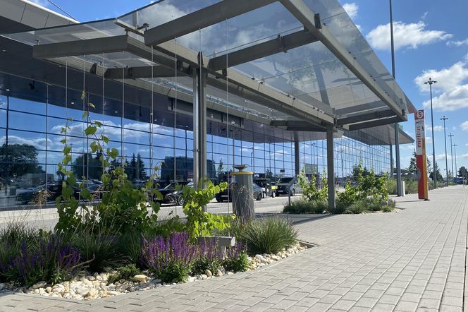 Tak wygladają ogrody deszczowe na parkingu przed terminalami Katowice Airport