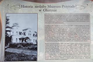 Muzeum Przyrody w Olsztynie. Poznajcie faunę oraz florę Warmii i Mazur