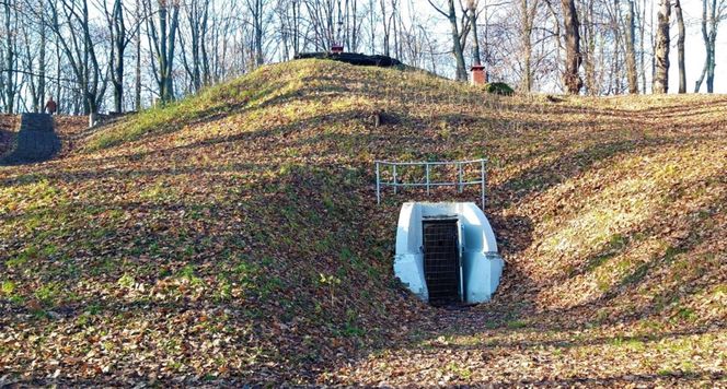 Elizeum w Warszawie