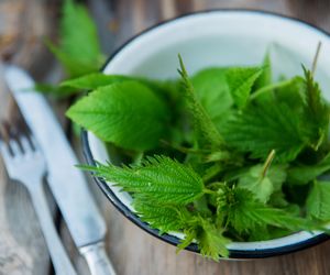 Prosta sałatka z pokrzywy - jak zrobić?