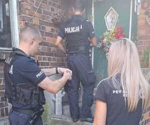 Dramatyczna interwencja Pet Patrol Rybnik. Pies konał w samotności