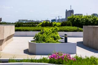 Ogród na dachu Centrum Nauki Kopernik